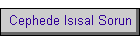 Cephede Is�sal Sorun